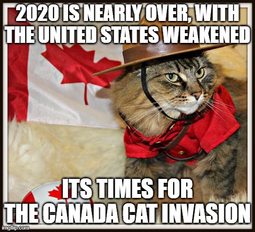 Canada Cat | 2020 IS NEARLY OVER, WITH THE UNITED STATES WEAKENED; ITS TIMES FOR THE CANADA CAT INVASION | image tagged in canada cat | made w/ Imgflip meme maker