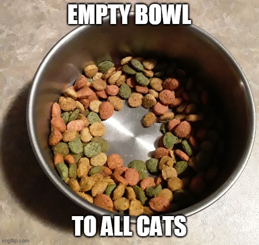 What an empty bowl looks like to a cat | EMPTY BOWL; TO ALL CATS | image tagged in cat food half full,memes | made w/ Imgflip meme maker