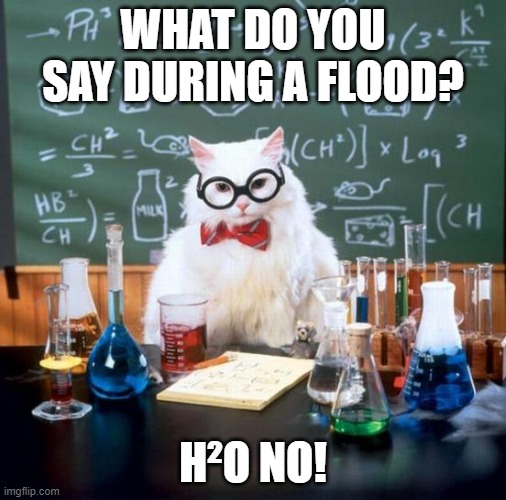 H²O No! | WHAT DO YOU SAY DURING A FLOOD? H²O NO! | image tagged in memes,chemistry cat,funny,science,water,jokes | made w/ Imgflip meme maker