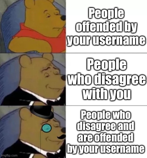 Hmmm | People offended by your username People who disagree and are offended by your username People who disagree with you | image tagged in fancy pooh | made w/ Imgflip meme maker