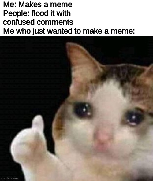 this happens way too many times | Me: Makes a meme
People: flood it with confused comments
Me who just wanted to make a meme: | image tagged in sad thumbs up cat | made w/ Imgflip meme maker