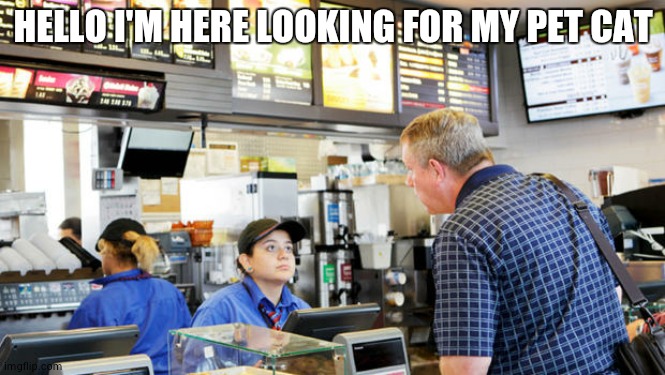 CatBurger | HELLO I'M HERE LOOKING FOR MY PET CAT | image tagged in confused mcdonalds cashier,cats | made w/ Imgflip meme maker