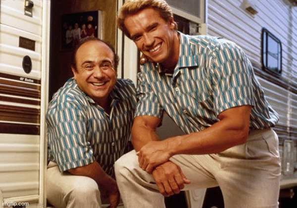 Arnold Schwarzenegger & Danny DeVito | image tagged in arnold schwarzenegger danny devito | made w/ Imgflip meme maker