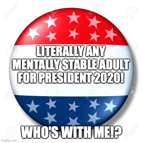 _____ FOR PRESIDENT!! | LITERALLY ANY MENTALLY STABLE ADULT FOR PRESIDENT 2020! WHO'S WITH ME!? | image tagged in blank for president | made w/ Imgflip meme maker