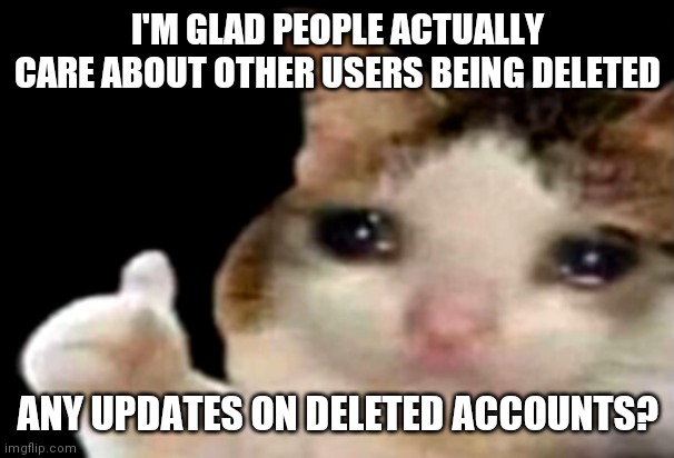 Sad cat thumbs up | I'M GLAD PEOPLE ACTUALLY CARE ABOUT OTHER USERS BEING DELETED; ANY UPDATES ON DELETED ACCOUNTS? | image tagged in sad cat thumbs up | made w/ Imgflip meme maker