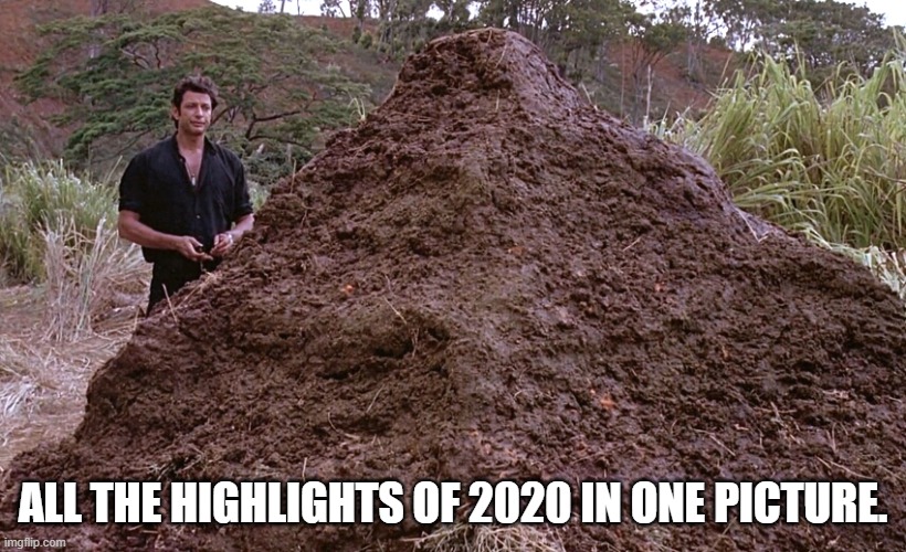 2020 Sucked | ALL THE HIGHLIGHTS OF 2020 IN ONE PICTURE. | image tagged in one big pile of shit,2020 sucks,jurassic park | made w/ Imgflip meme maker
