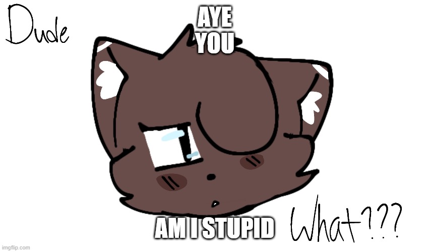 Bruh | AYE
YOU; AM I STUPID | image tagged in bruh | made w/ Imgflip meme maker