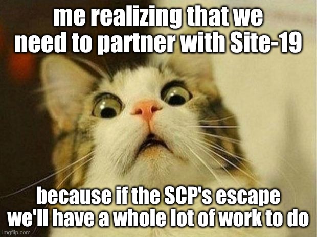 Seriously, if they get out, we're going to have a lot of work on our hands. We should partner with Site-19 to help protect Imgfl | me realizing that we need to partner with Site-19; because if the SCP's escape we'll have a whole lot of work to do | image tagged in memes,scared cat | made w/ Imgflip meme maker