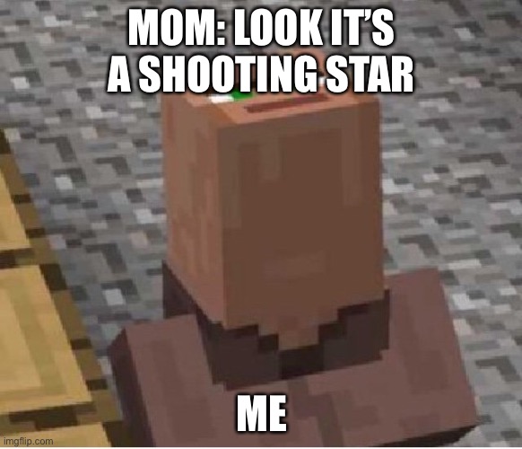 Sup | MOM: LOOK IT’S A SHOOTING STAR; ME | image tagged in minecraft villager looking up | made w/ Imgflip meme maker