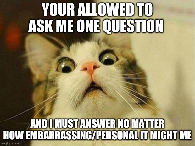 i Am scAred owo | YOUR ALLOWED TO ASK ME ONE QUESTION; AND I MUST ANSWER NO MATTER HOW EMBARRASSING/PERSONAL IT MIGHT ME | image tagged in memes,scared cat | made w/ Imgflip meme maker