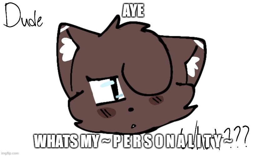 Bruh | AYE; WHATS MY ~ P E R S O N A L I T Y ~ | image tagged in bruh | made w/ Imgflip meme maker