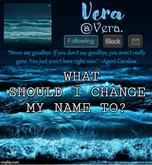 a n n o u n c e r e v i s e d | WHAT SHOULD I CHANGE MY NAME TO? | image tagged in a n n o u n c e r e v i s e d | made w/ Imgflip meme maker