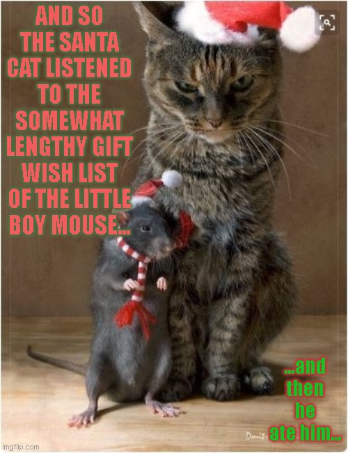 fun | AND SO THE SANTA CAT LISTENED TO THE SOMEWHAT LENGTHY GIFT WISH LIST OF THE LITTLE BOY MOUSE... ...and then he ate him... | image tagged in cat | made w/ Imgflip meme maker