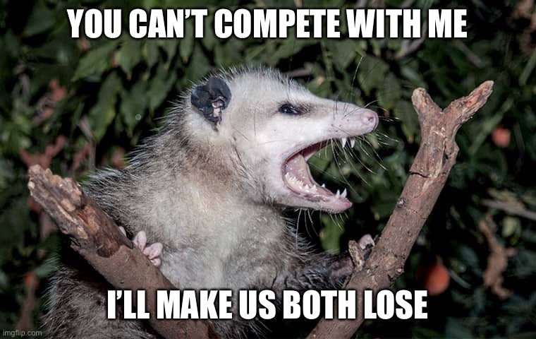 YOU CAN’T COMPETE WITH ME; I’LL MAKE US BOTH LOSE | image tagged in possum,inspirational | made w/ Imgflip meme maker