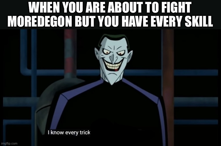 A little Dragon Quest XI meme | WHEN YOU ARE ABOUT TO FIGHT MOREDEGON BUT YOU HAVE EVERY SKILL | image tagged in gaming,skills | made w/ Imgflip meme maker