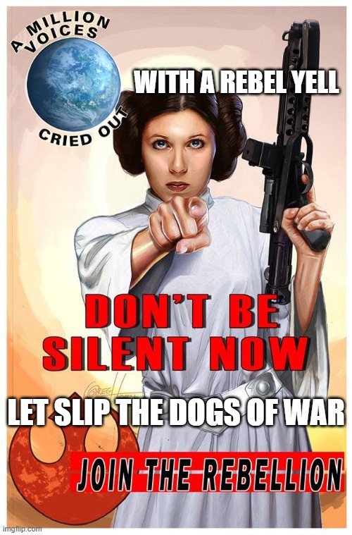 Rebellion Princess Leia | WITH A REBEL YELL; LET SLIP THE DOGS OF WAR | image tagged in rebellion princess leia | made w/ Imgflip meme maker