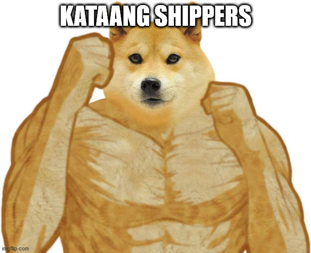 Buff Doge | KATAANG SHIPPERS | image tagged in buff doge | made w/ Imgflip meme maker