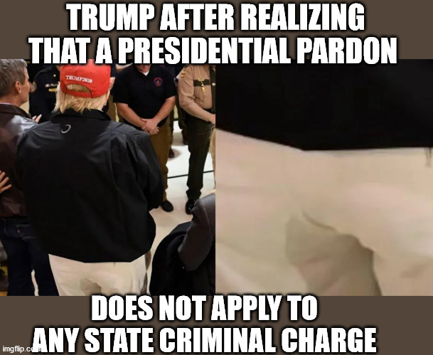 Trump Pardon | TRUMP AFTER REALIZING THAT A PRESIDENTIAL PARDON; DOES NOT APPLY TO ANY STATE CRIMINAL CHARGE | image tagged in trump,pardon,michael flynn,donald trump is an idiot,maga | made w/ Imgflip meme maker