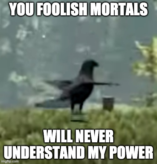 T-Posing Bird in The Forest | YOU FOOLISH MORTALS; WILL NEVER UNDERSTAND MY POWER | image tagged in funny,memes | made w/ Imgflip meme maker