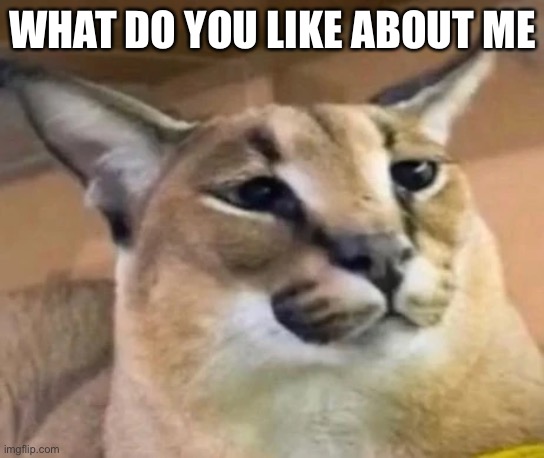 WHAT DO YOU LIKE ABOUT ME | made w/ Imgflip meme maker