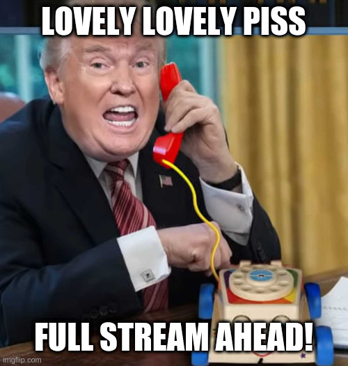 I'm the president | LOVELY LOVELY PISS FULL STREAM AHEAD! | image tagged in i'm the president | made w/ Imgflip meme maker