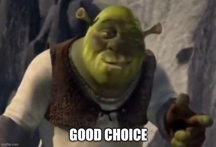 Shrek good question | GOOD CHOICE | image tagged in shrek good question | made w/ Imgflip meme maker