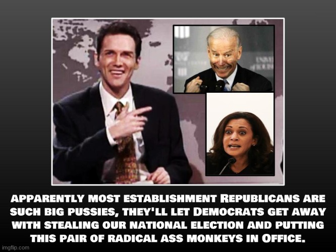 Saying this is a sad chapter in Americas history doesn't even come close to doing this tragedy justice | image tagged in election 2020,voter fraud,joe biden,kamala harris,political,politics | made w/ Imgflip meme maker