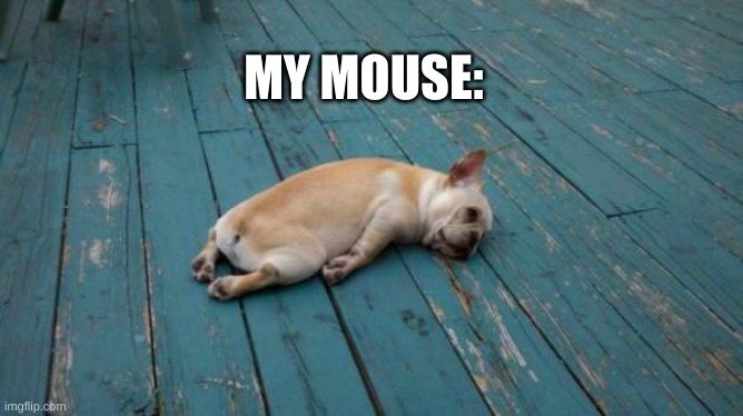 tired dog | MY MOUSE: | image tagged in tired dog | made w/ Imgflip meme maker