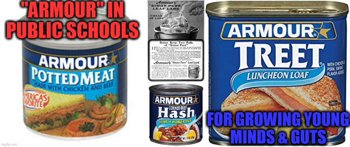 "ARMOUR" IN
PUBLIC SCHOOLS FOR GROWING YOUNG
MINDS & GUTS | made w/ Imgflip meme maker