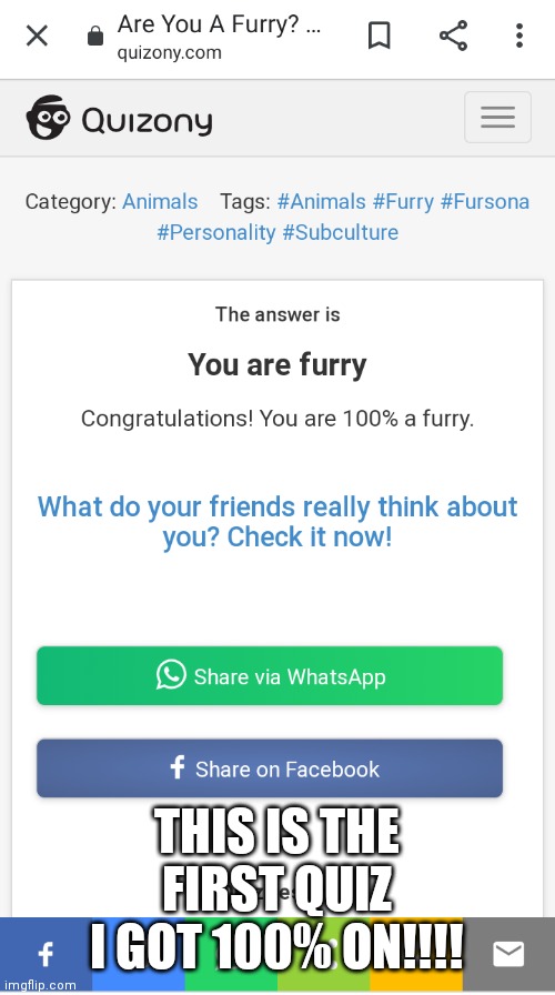 Finnaly | THIS IS THE FIRST QUIZ I GOT 100% ON!!!! | image tagged in lol,furry,yes | made w/ Imgflip meme maker