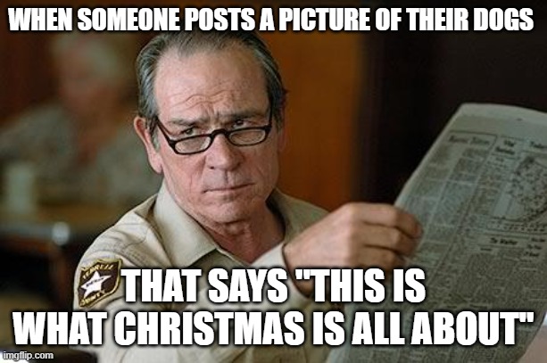 Dogtard Holidays | WHEN SOMEONE POSTS A PICTURE OF THEIR DOGS; THAT SAYS "THIS IS WHAT CHRISTMAS IS ALL ABOUT" | image tagged in really | made w/ Imgflip meme maker