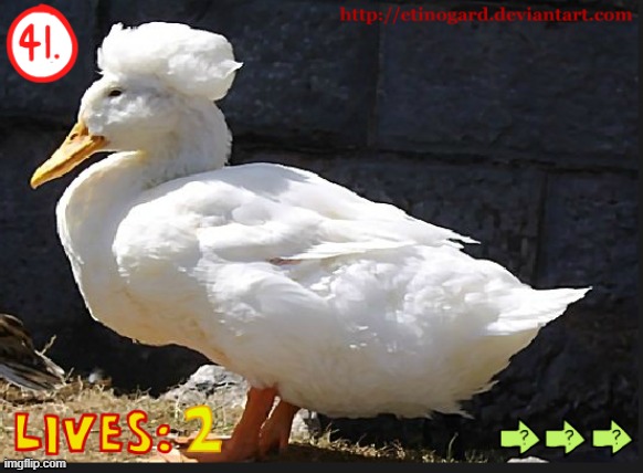 should i skip or what? how do i do this one lmao | made w/ Imgflip meme maker