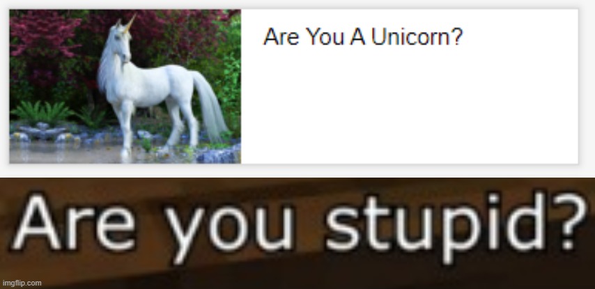 image tagged in are you stupid | made w/ Imgflip meme maker