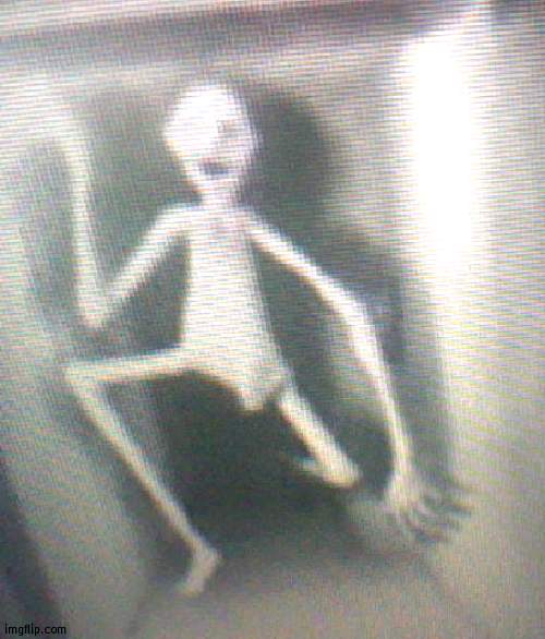 harold | made w/ Imgflip meme maker