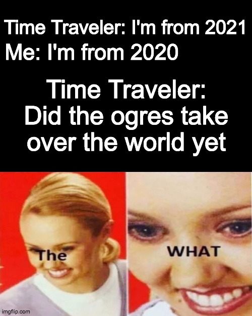 The What | Time Traveler: I'm from 2021; Me: I'm from 2020; Time Traveler: Did the ogres take over the world yet | image tagged in the what | made w/ Imgflip meme maker