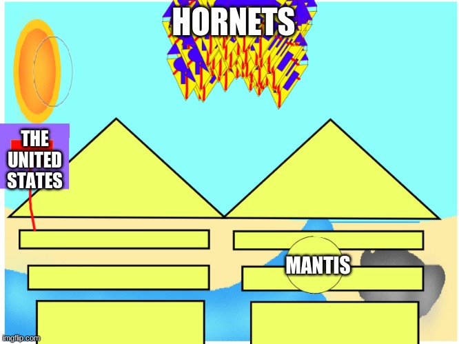 oh dear | HORNETS; THE UNITED STATES; MANTIS | image tagged in dune | made w/ Imgflip meme maker
