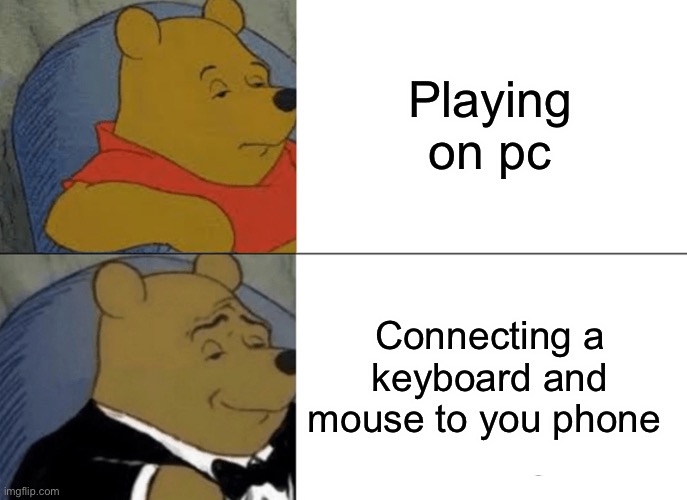 Budget gaming | Playing on pc; Connecting a keyboard and mouse to you phone | image tagged in memes,tuxedo winnie the pooh | made w/ Imgflip meme maker