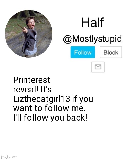 W h y n o t ? | Printerest reveal! It's Lizthecatgirl13 if you want to follow me.  I'll follow you back! | image tagged in mostlystupid template | made w/ Imgflip meme maker