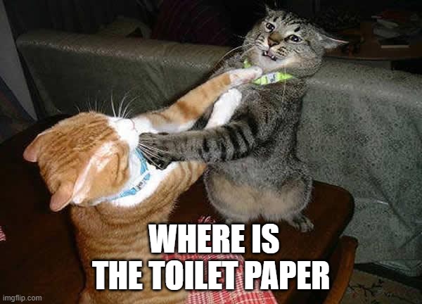 figth | WHERE IS THE TOILET PAPER | image tagged in two cats fighting for real | made w/ Imgflip meme maker