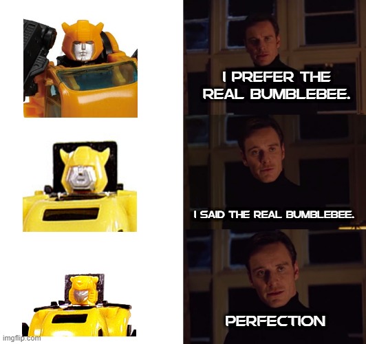 perfection | I PREFER THE REAL BUMBLEBEE. I SAID THE REAL BUMBLEBEE. PERFECTION | image tagged in perfection,transformers,bumblebee | made w/ Imgflip meme maker