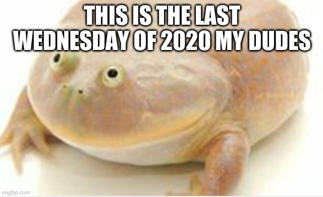 It's Wednesday my dudes | THIS IS THE LAST WEDNESDAY OF 2020 MY DUDES | image tagged in it's wednesday my dudes | made w/ Imgflip meme maker