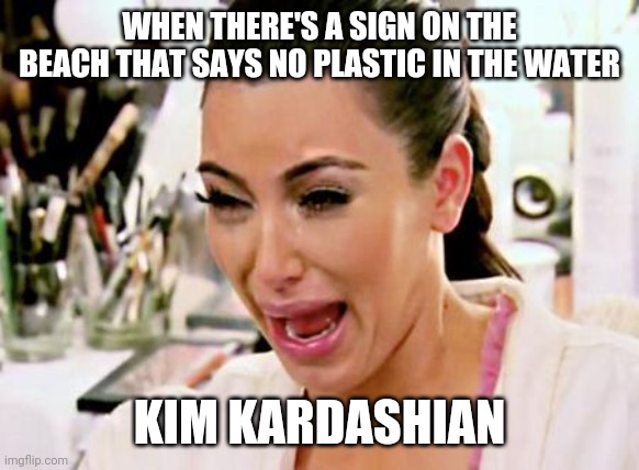 Kim Kardashian | WHEN THERE'S A SIGN ON THE BEACH THAT SAYS NO PLASTIC IN THE WATER; KIM KARDASHIAN | image tagged in kim kardashian | made w/ Imgflip meme maker