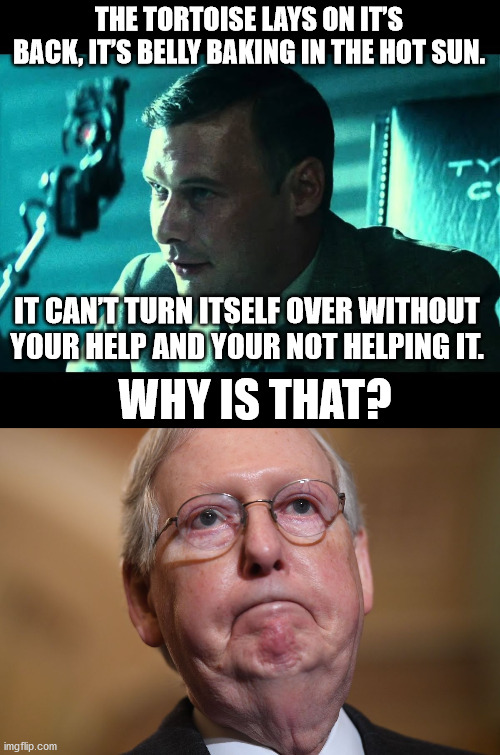 voight-kampff | THE TORTOISE LAYS ON IT’S BACK, IT’S BELLY BAKING IN THE HOT SUN. IT CAN’T TURN ITSELF OVER WITHOUT YOUR HELP AND YOUR NOT HELPING IT. WHY IS THAT? | image tagged in mitch mcconnell,blade runner | made w/ Imgflip meme maker