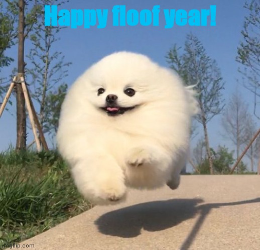 Happy new floof year! | Happy floof year! | image tagged in good day floof | made w/ Imgflip meme maker