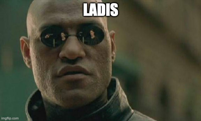 Matrix Morpheus | LADIS | image tagged in memes,matrix morpheus | made w/ Imgflip meme maker