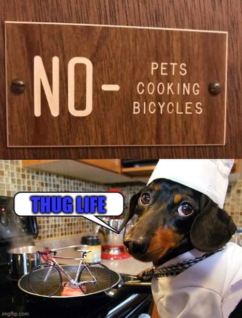 THUG LIFE | image tagged in dogs,memes,thug life,animals,funny | made w/ Imgflip meme maker