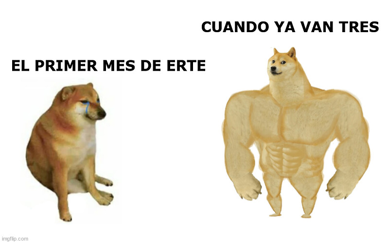 So I didn't cry on january | CUANDO YA VAN TRES; EL PRIMER MES DE ERTE | image tagged in swole doge vs cheems flipped | made w/ Imgflip meme maker
