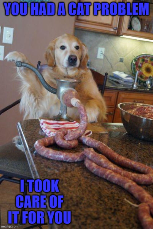 Mmmmmm...homemade sausage... | YOU HAD A CAT PROBLEM; I TOOK CARE OF IT FOR YOU | image tagged in dogs,memes,animals | made w/ Imgflip meme maker
