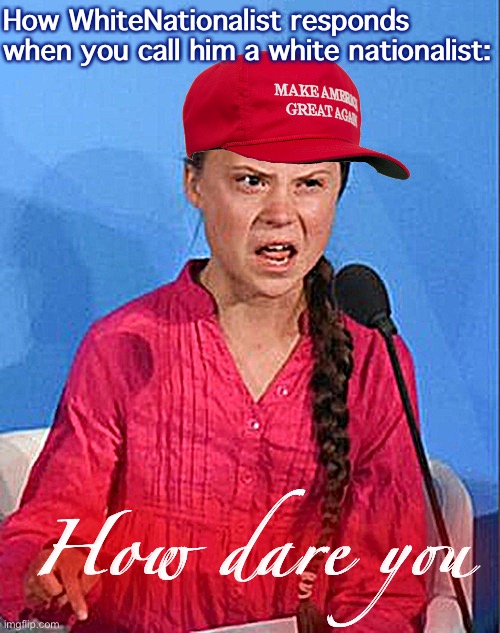 Wait, that’s illegal | How WhiteNationalist responds when you call him a white nationalist:; How dare you | image tagged in greta thunberg how dare you,white nationalism,greta thunberg,meanwhile on imgflip | made w/ Imgflip meme maker