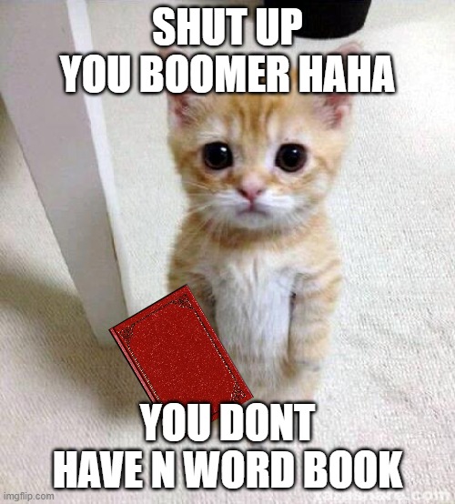 n word book cat | SHUT UP YOU BOOMER HAHA; YOU DONT HAVE N WORD BOOK | image tagged in memes,cute cat | made w/ Imgflip meme maker